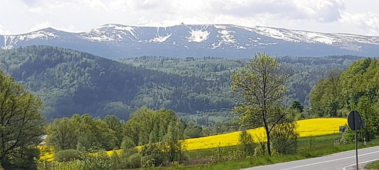 Skyview Apartment Mountain Views Jelenia Góra Esterno foto